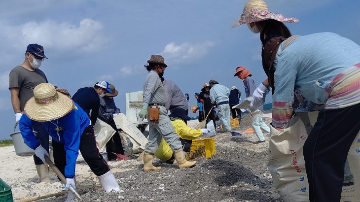 伊江島で軽石の撤去作業を行った２つの活動を紹介します！