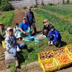 「いーじま農園」作物を植え収穫体験で情操教育　