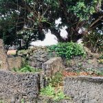 知る人ぞ知る沖縄暮らしの歴史｜建築された「珊瑚の石壁」の正体とは？